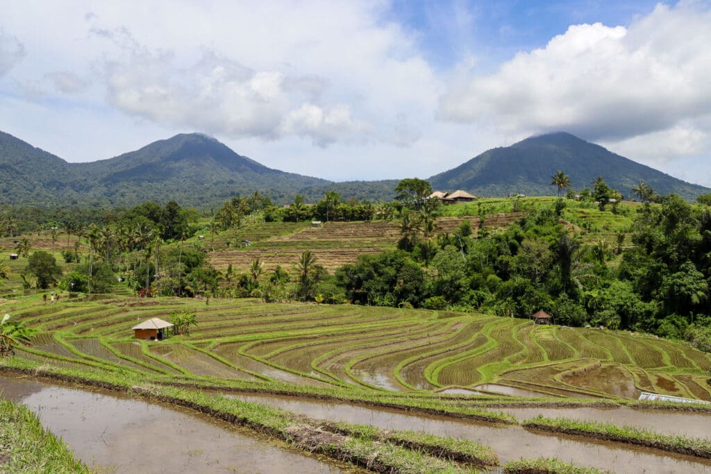 Vulkanische Berglandschaft mit Feldern in Nordbali