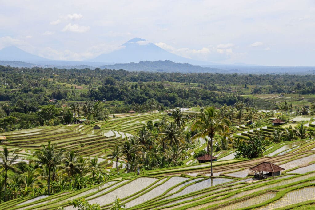 Indonesien Galerie - Weite Reisterrassen bei Jatiluwih