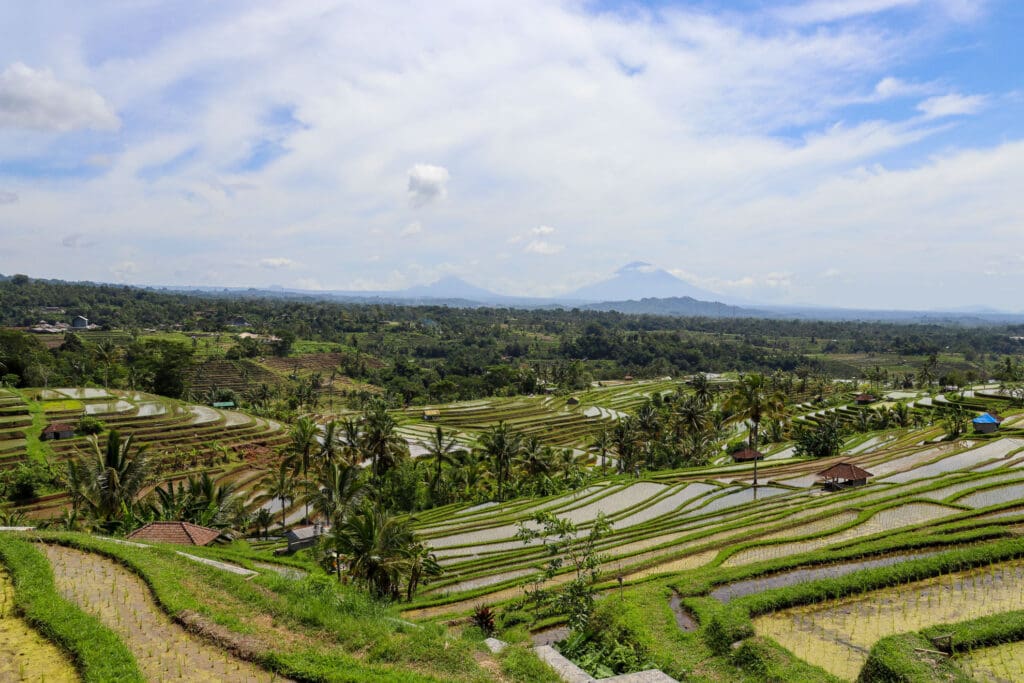 Terrassierte Felder mit Vulkansilhouette im Hintergrund