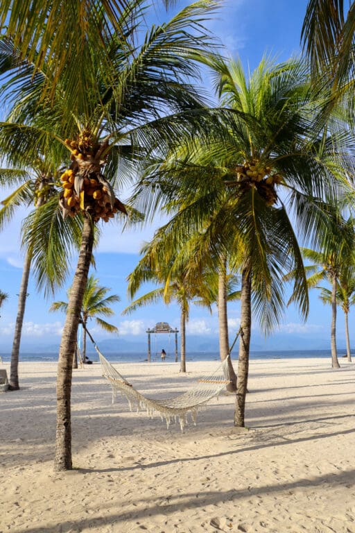 Palmen mit Hängematte auf Nusa Lembongan