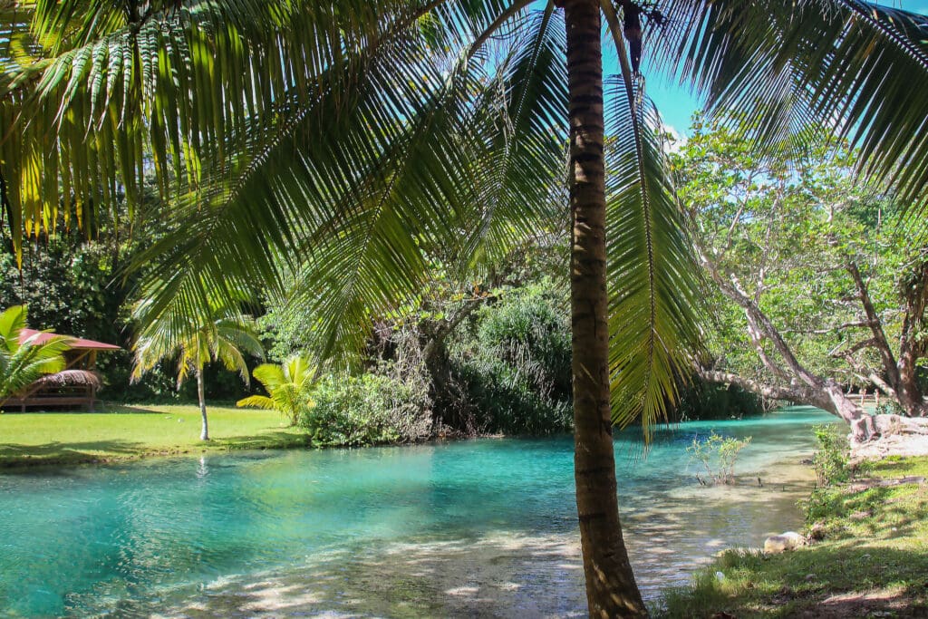 Tropischer Flusslauf zwischen Palmen und Wald