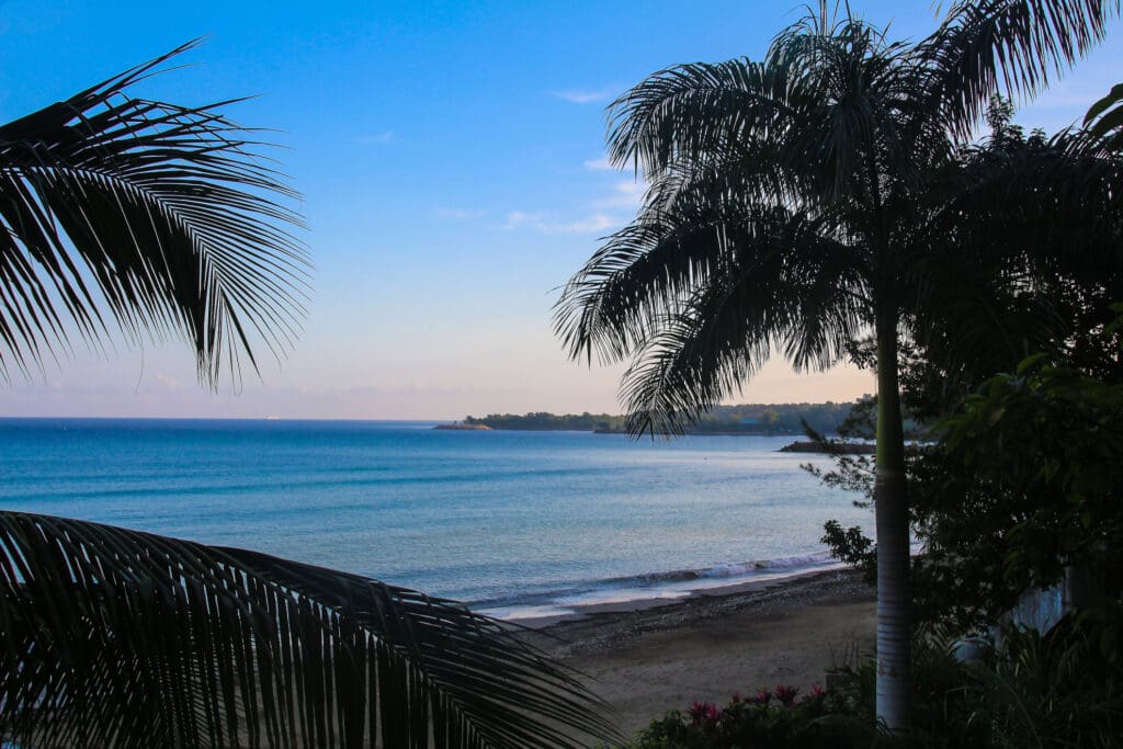 Palmen und ruhiger Strand bei Ocho Rios