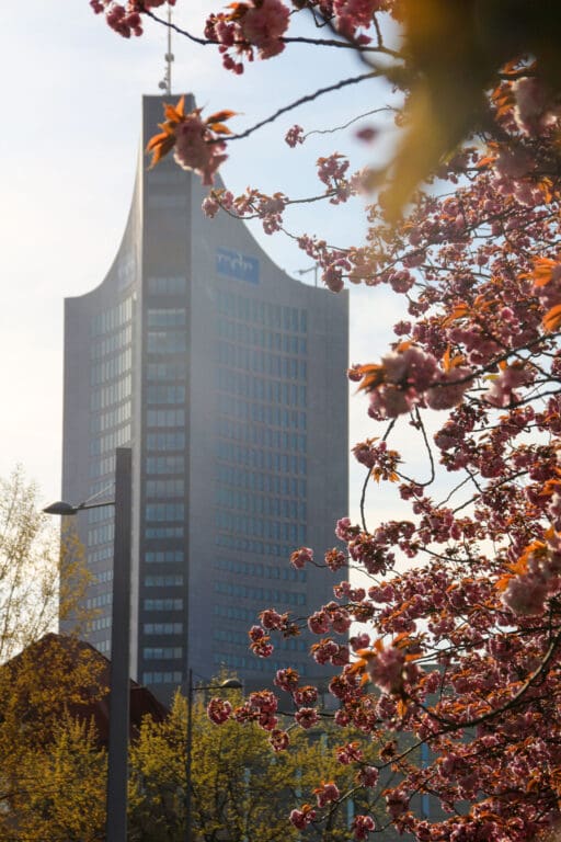 Hochhaus Leipzig eingerahmt von rosa Blüten