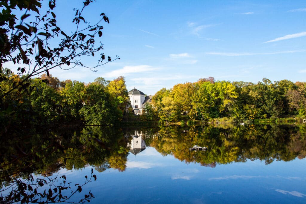 Spiegelung im Auwaldsee bei Sonnenlicht