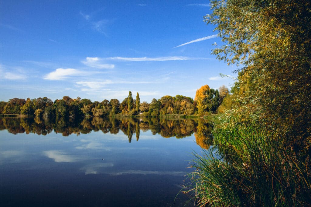 Ruhiger See mit Wald im Hintergrund bei blauem Himmel