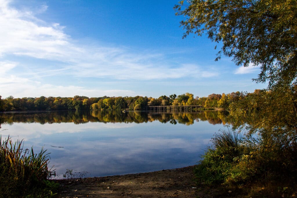 Ruhiger See mit Wald im Hintergrund bei blauem Himmel