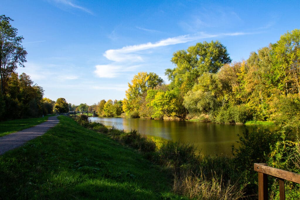 Flusslauf mit grüner Uferlandschaft bei Sonnenschein