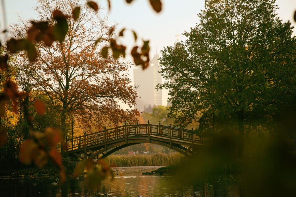 Herbstliches Parkbild mit Brücke im Gegenlicht