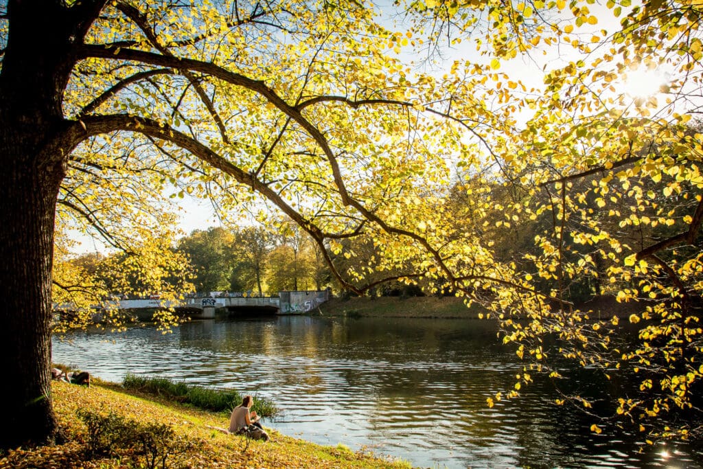 Herbstliches Flussufer in Leipzig mit farbigen Bäumen