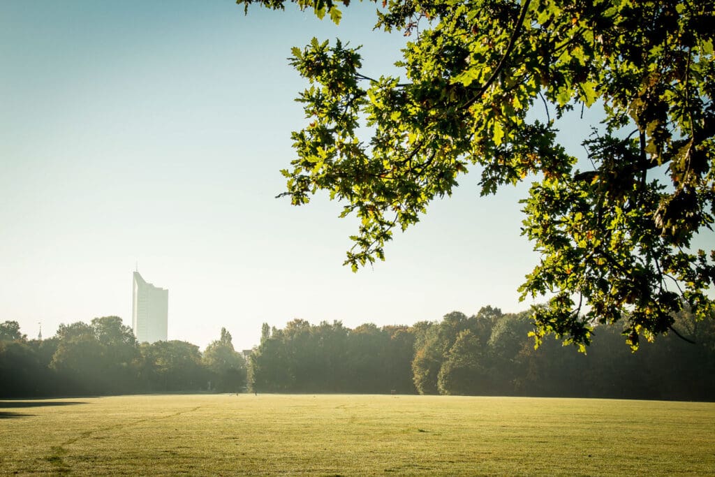 Weite Wiese im Rosental mit Sonnenlicht