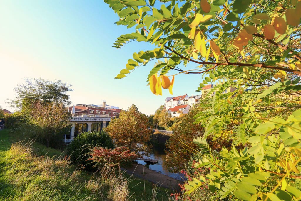 Karl-Heine-Kanal am Morgen