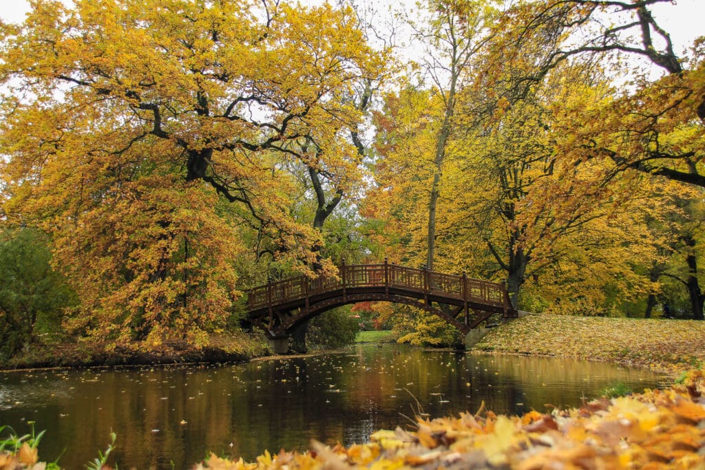 Herbstliche Parkbrücke im Johannapark
