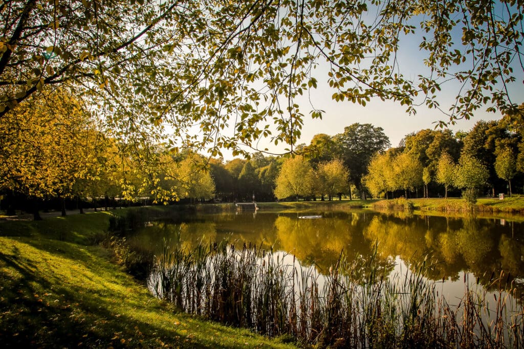 Spiegelung im See im Clara Zetkin Park