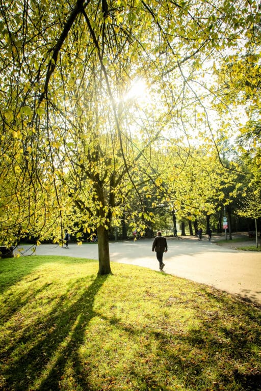 Spaziergang in der goldenen Nachmittagssonne