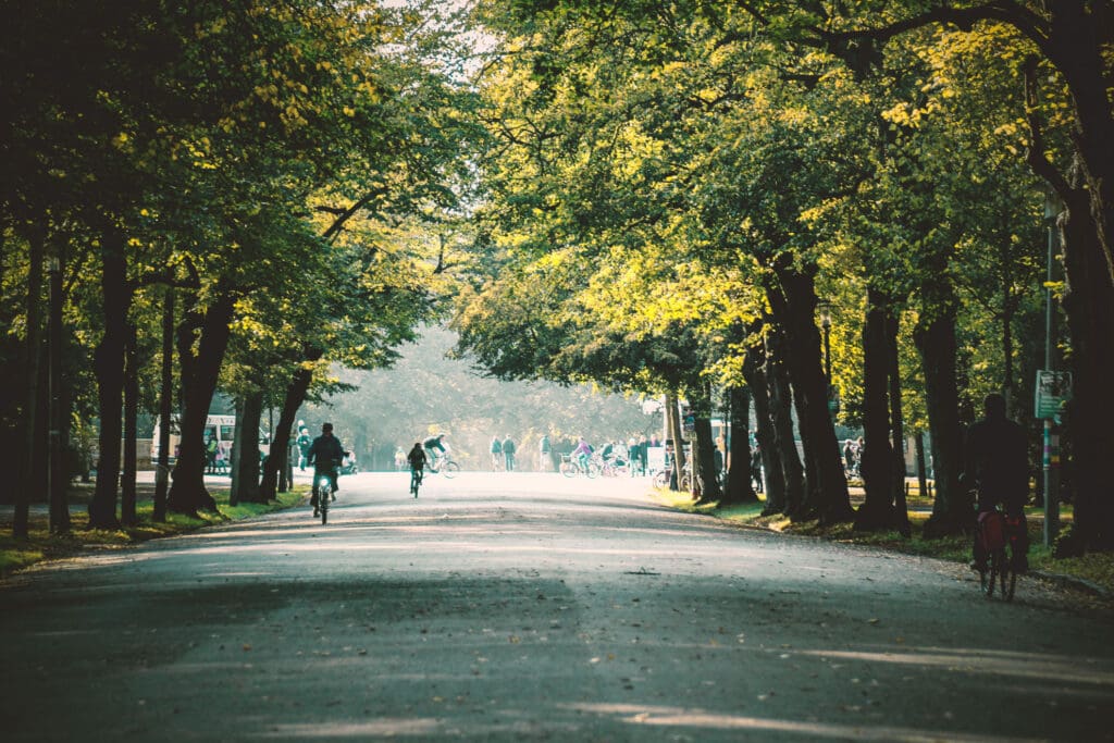 Menschen im herbstlichen Clara-Zetkin-Park