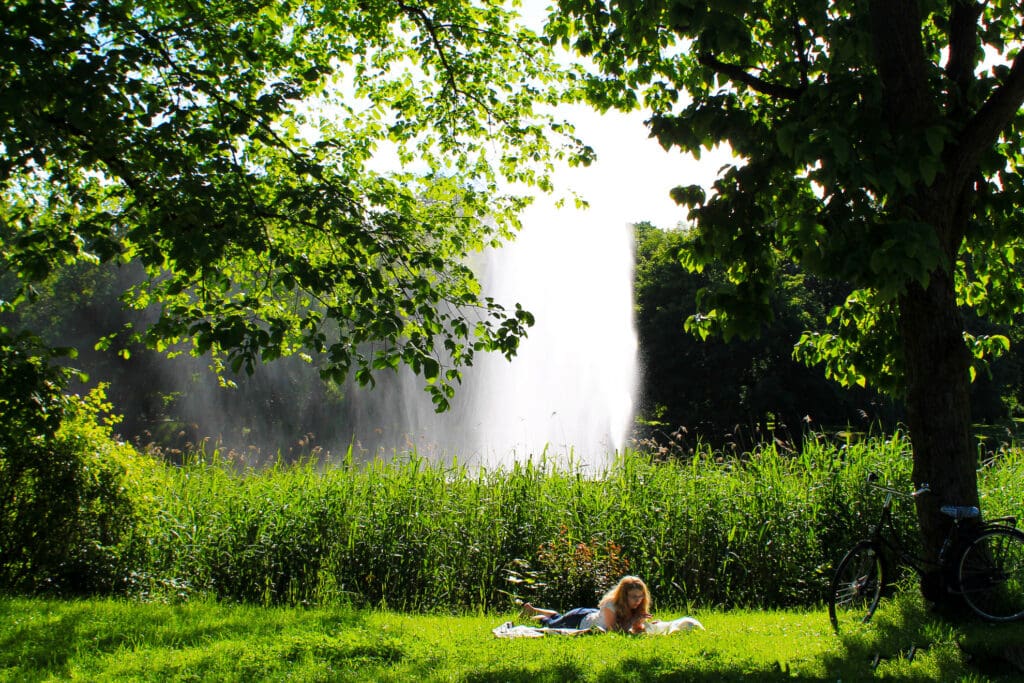 Sommerlicher Parkmoment mit Wasserfontäne