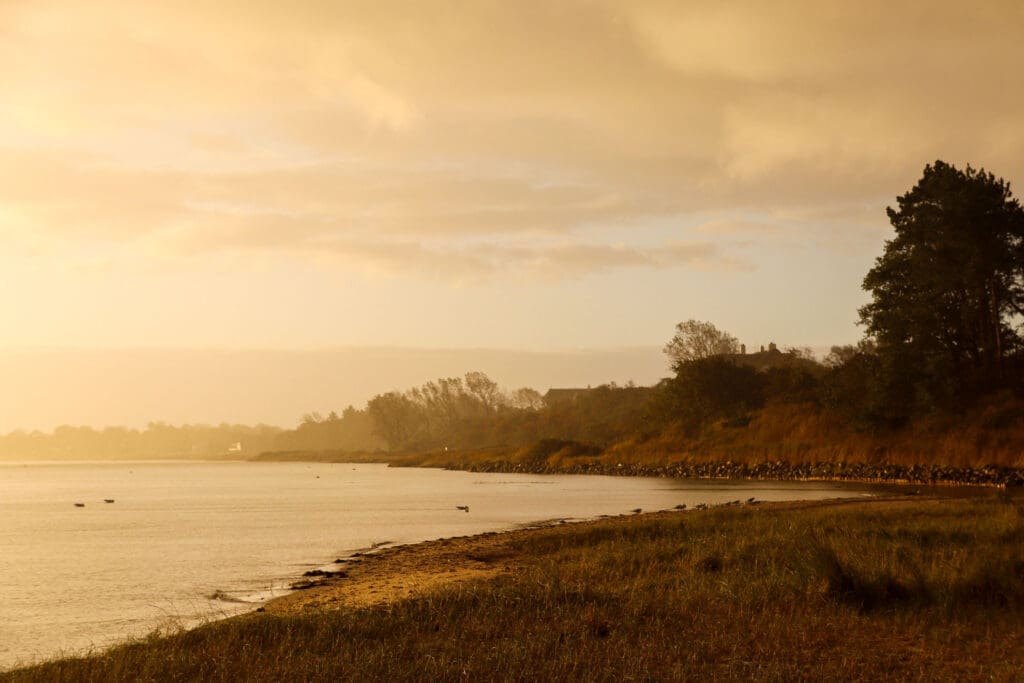 Goldene Lichtstimmung an Sylter Küste