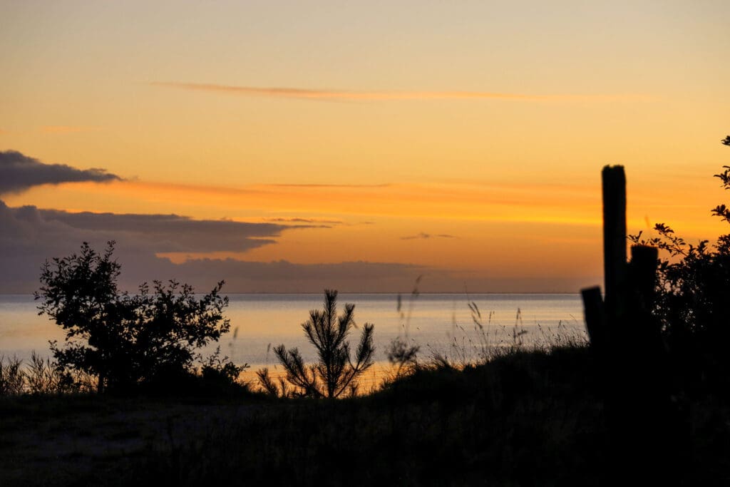 Sonnenaufgang mit Gräsern im Vordergrund
