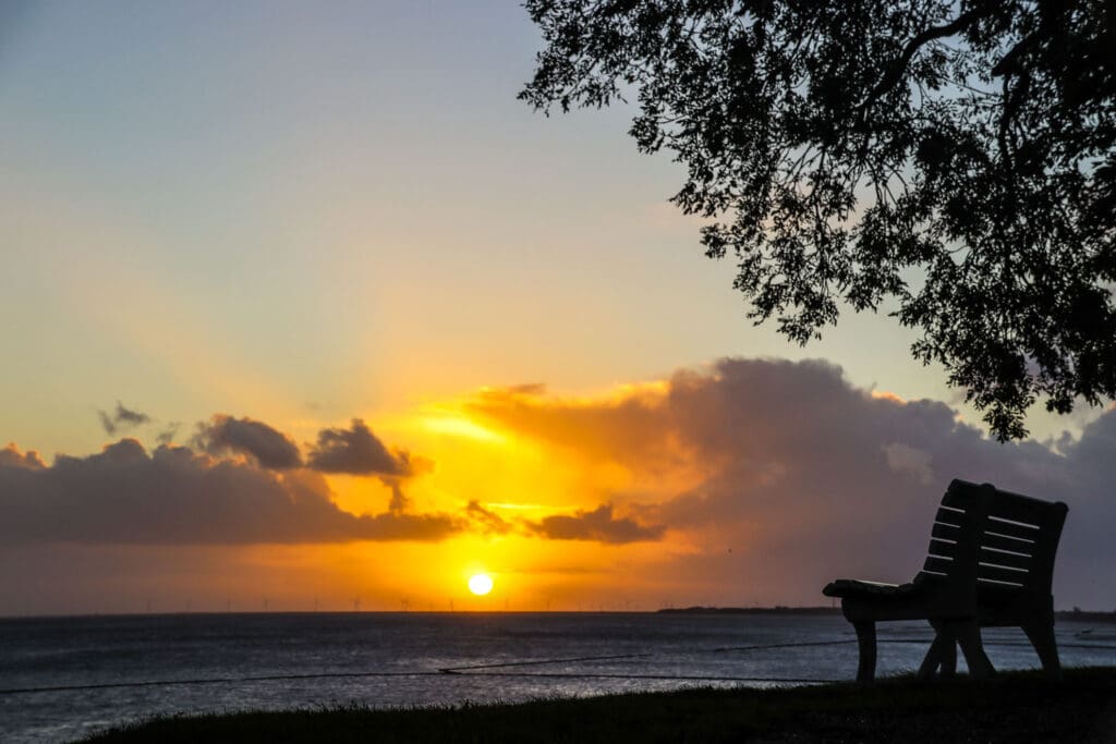 Sonnenaufgang mit Bank und Baum im Gegenlicht