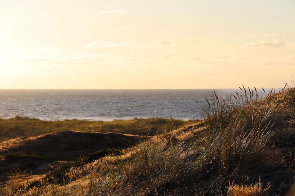 Goldgelbes Licht bei untergehender Sonne über dem Wasser