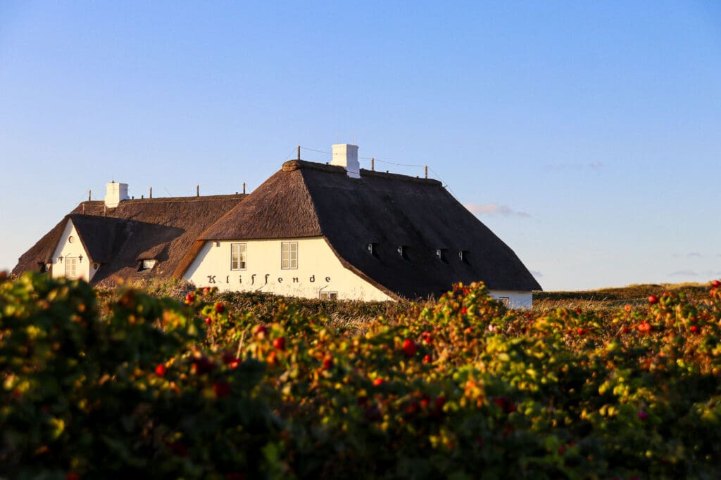 Friesenhaus mit markantem Dach inmitten von Sträuchern