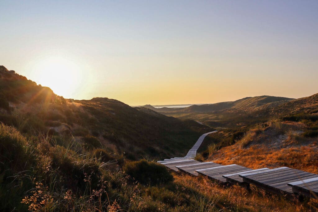 Dünental mit Holzsteg im Abendlicht