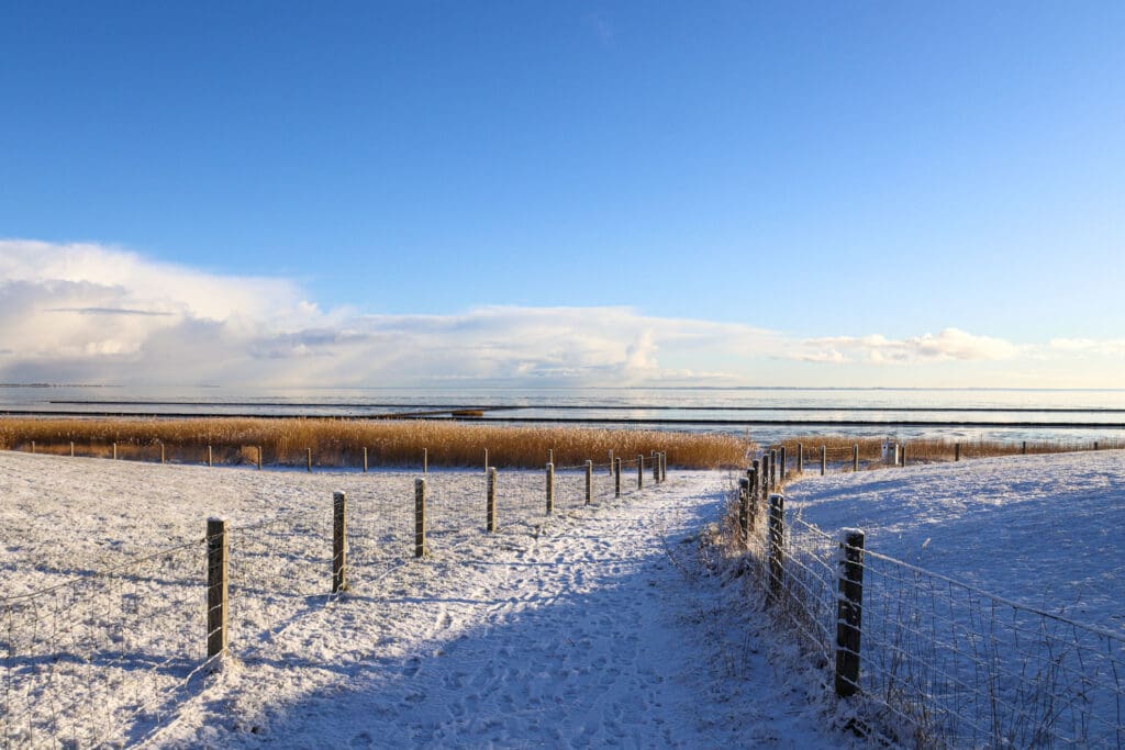 Verschneite Landschaft mit Zäunen und offenem Himmel