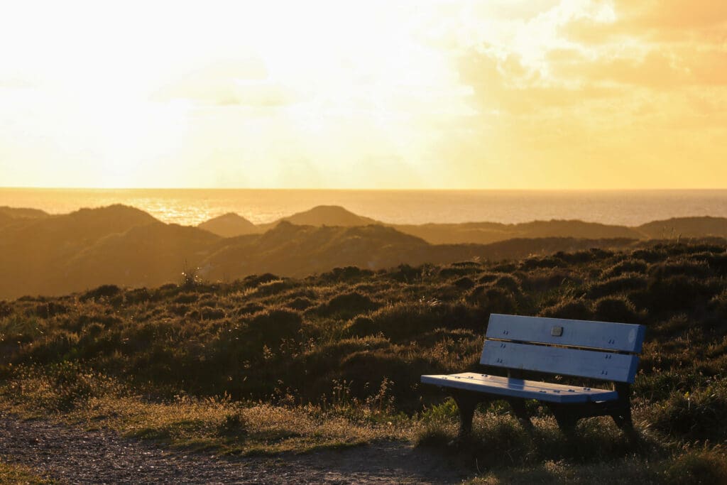 Holzbank in den Dünen mit weitem Blick auf das Meer bei Abendlicht