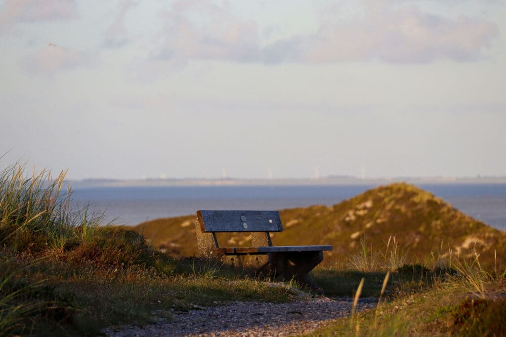 Holzbank in den Dünen mit weitem Blick auf das Meer bei Abendlicht