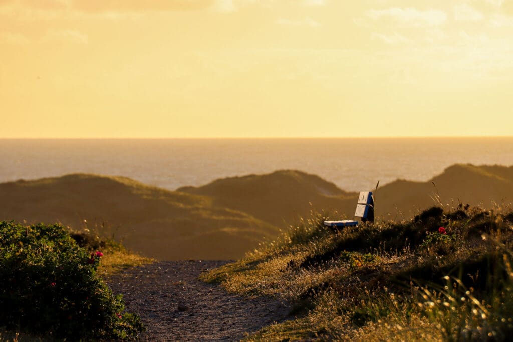 Dünen im goldenen Licht des Abends