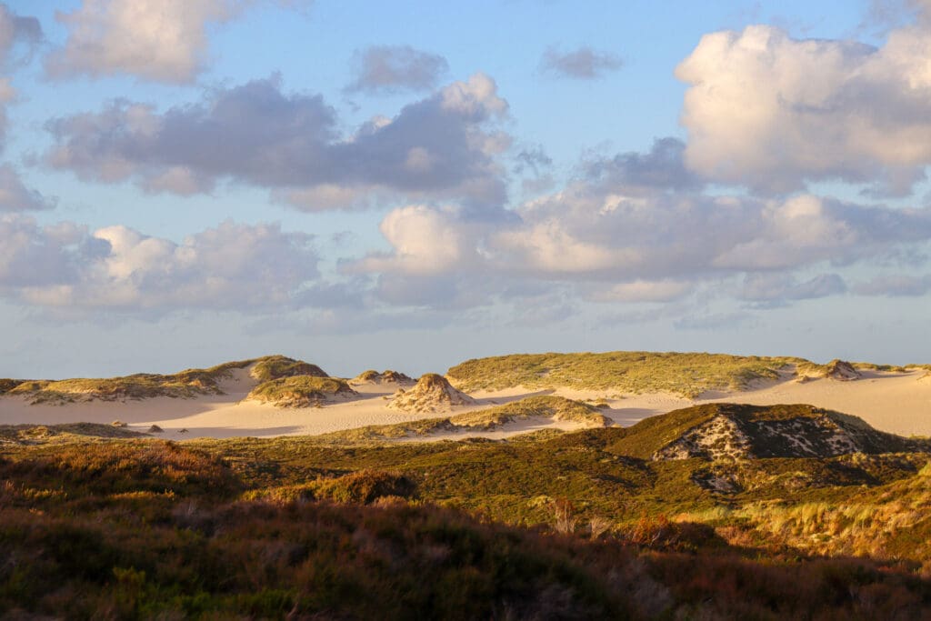 Leicht bewachsene Dünen mit wolkigem Himmel auf Sylt