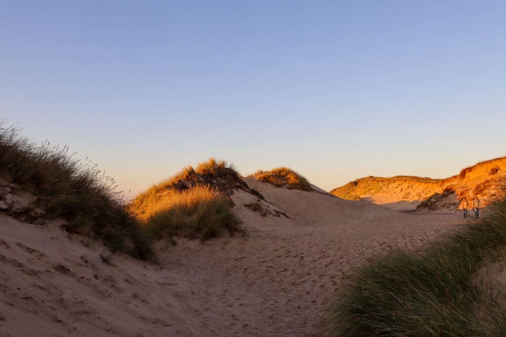 Tiefer gelegene Sandmulde eingerahmt von bewachsenen Dünen
