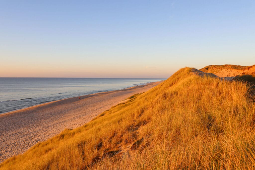 Strand mit hohen Dünen im Spätsommer