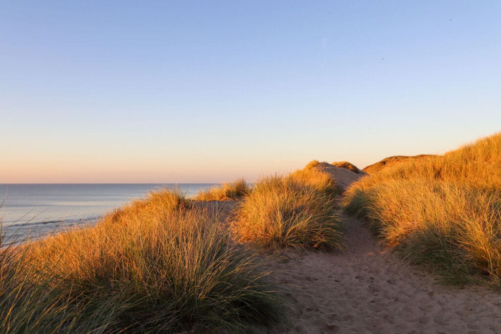 Erhöhte Dünen mit goldgelbem Gras bei tiefstehender Sonne