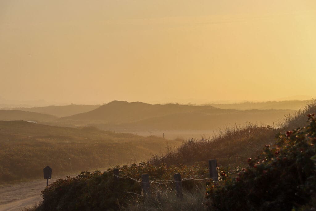 Weiche Hügelzüge der Insel im frühen Sonnenlicht