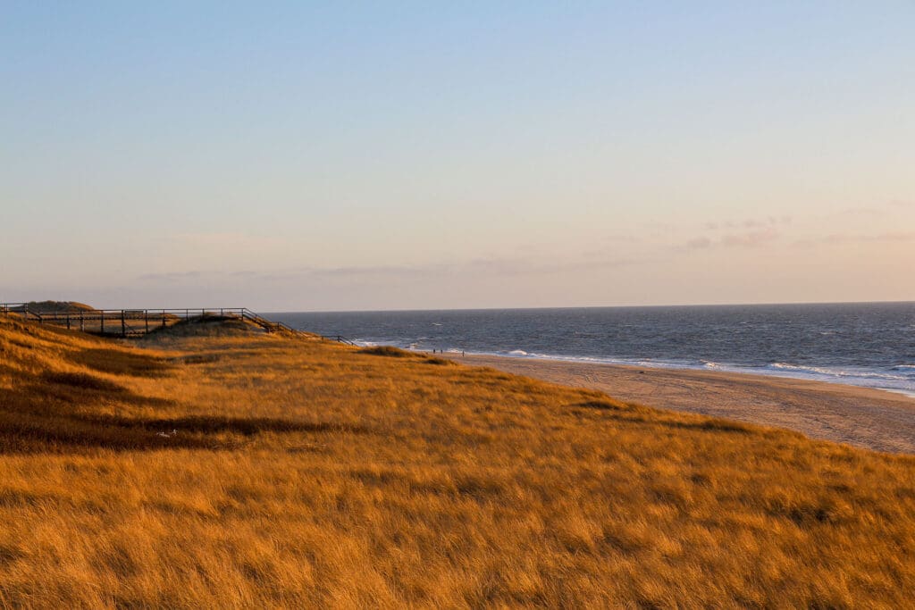 Dünenlandschaft im warmen Licht über dem weiten Horizont