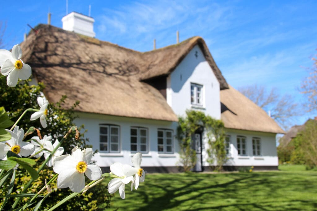 Weißes Haus mit Reetdach, gepflegtem Garten und blühenden Sträuchern