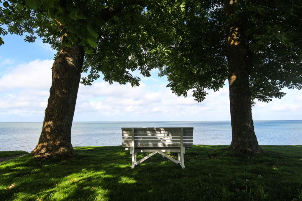 Sitzbank im Schatten großer Bäume mit Blick auf die Nordsee
