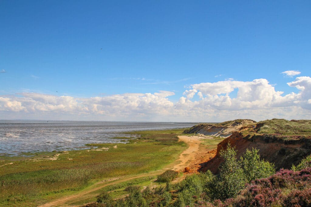 Weite Aussicht am Morsumer Kliff und das Wattenmeer