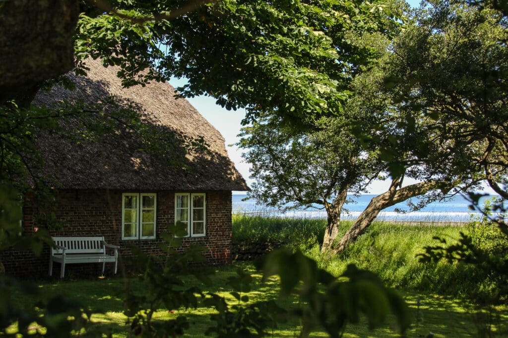 Traditionelles Reetdachhaus im Schatten großer Bäume