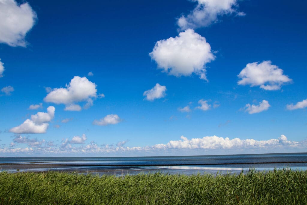 Weite grüne Marschlandschaft mit Blick aufs Wasser