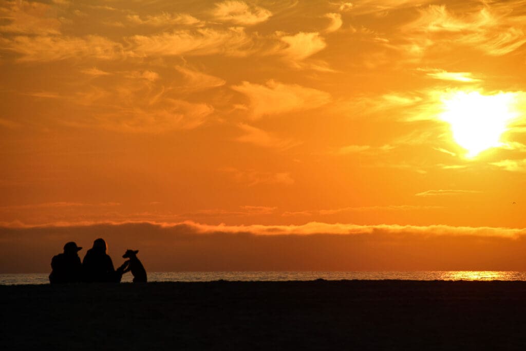 Menschen sitzen am Feuer am Strand in der Dämmerung