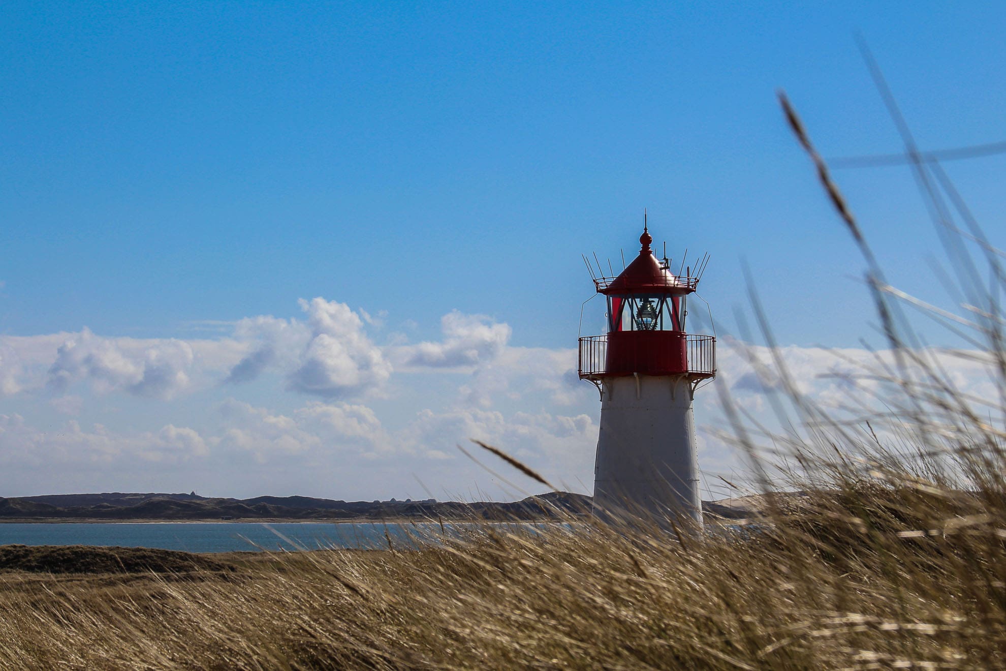 Lister Leuchtturm zwischen trockenem Gras auf Sylt