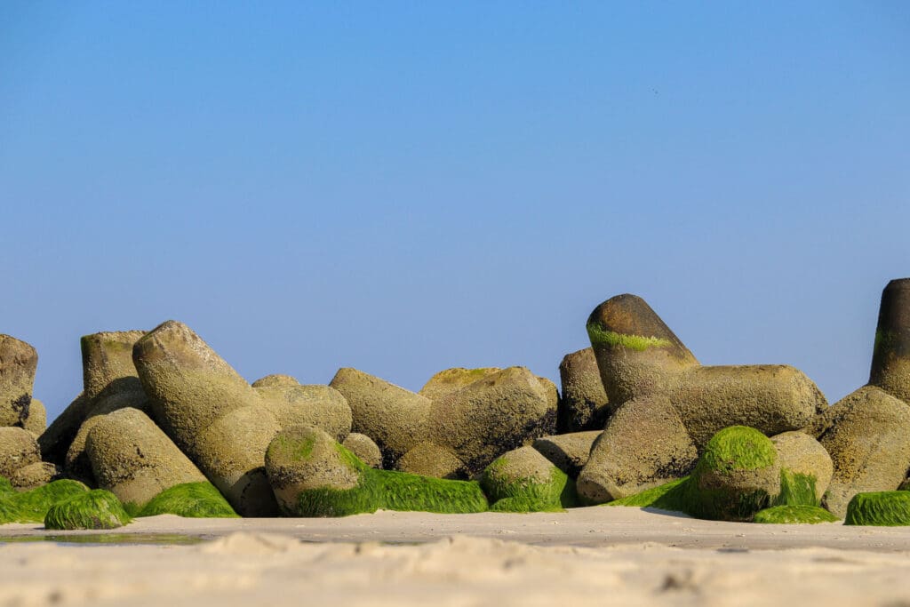 Mit Algen bewachsene Tetrapoden an der Hörnumer Küste bei Sonnenschein
