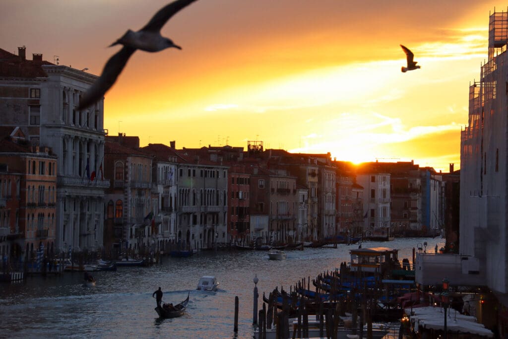 Sonnenuntergang mit Möwen über Häuserfronten