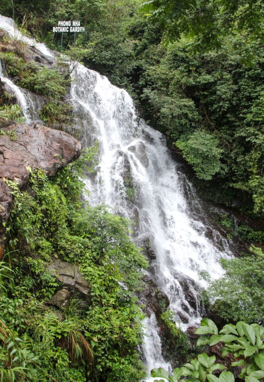 Wasserfall im dichten vietnamesischen Dschungel