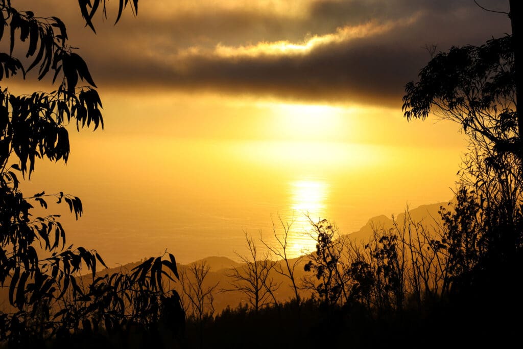 Dramatischer Sonnenuntergang über dem Atlantik mit Silhouetten von Bäumen