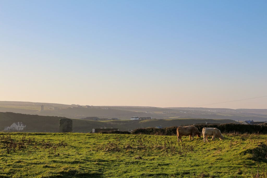 Grüne Weiden am Meer mit Blick auf den Horizont, Irland