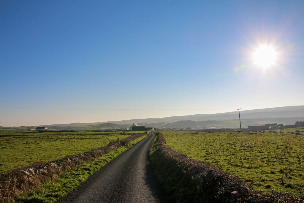 Schmale Küstenstraße durch grüne Hügel, Irland
