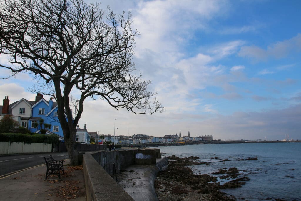 Hafenpromenade in Dublin und Baum am Meer